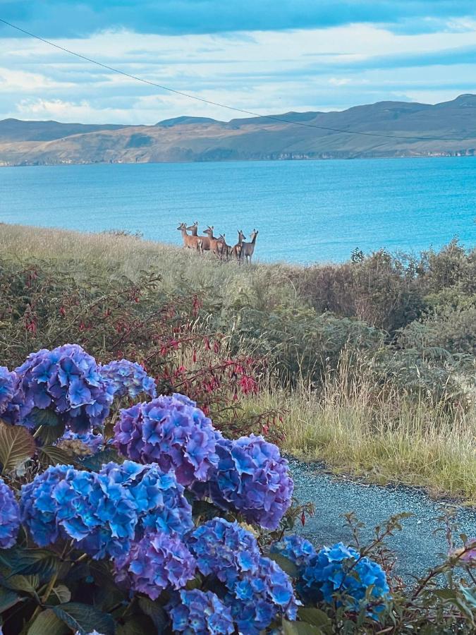 The Rowanberry Suite At Rowan Cottage Elgol Экстерьер фото